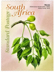 （原创）看邮票识南非32：药用食用及观赏植物 - 六一儿童 - 译海拾蚌