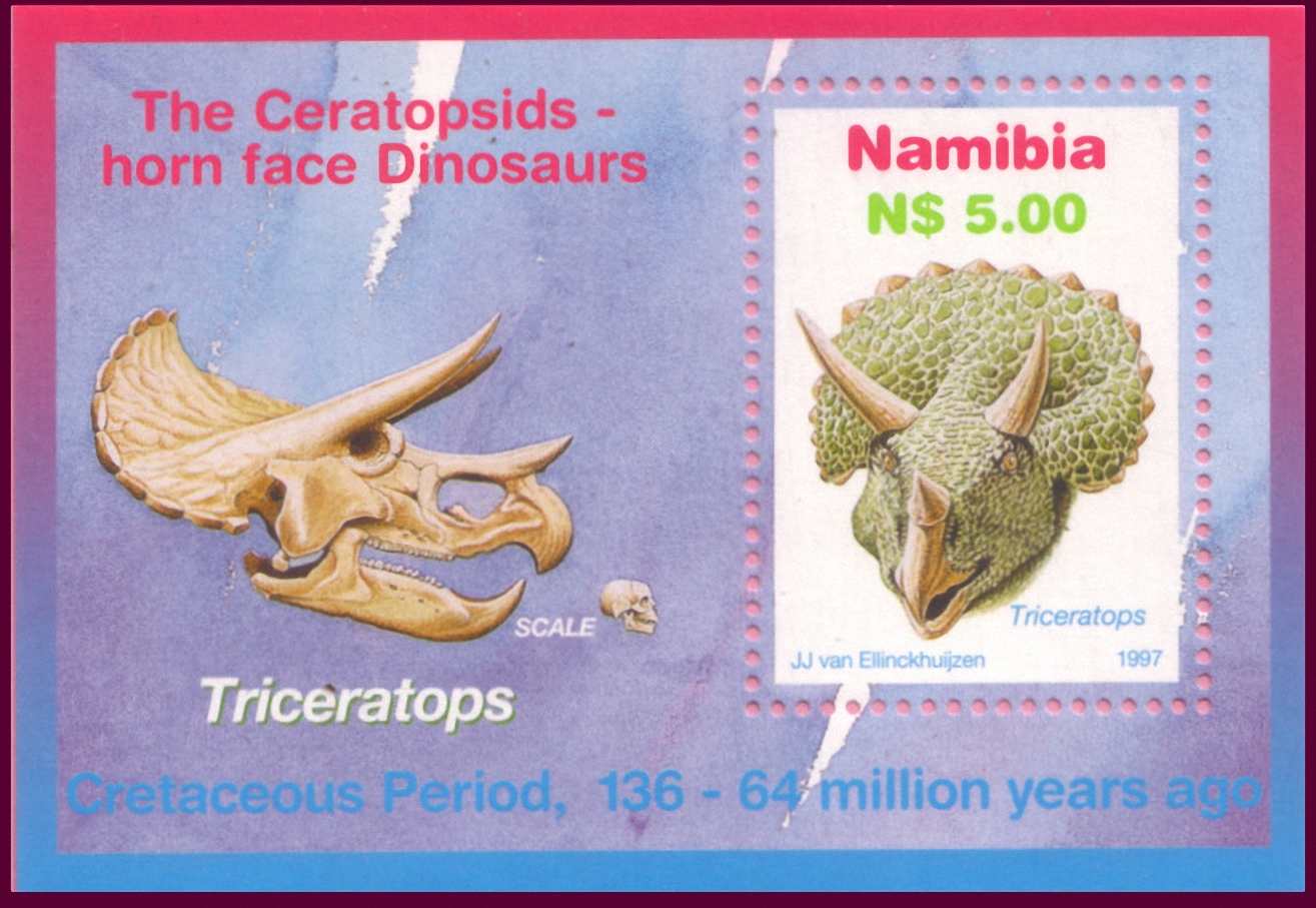 Namibia 1997 Ceratopsid MS.jpg