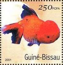 Guinee Bissau 2001 Fish c.jpg