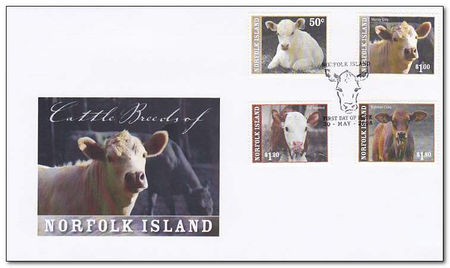 Norfolk Island 2008 Cattle 2fdc.jpg