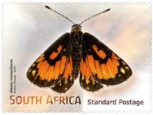 South Africa 2013 Butterflies & Moths j.jpg