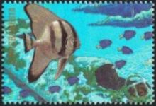 Micronesia 1988 Truk Lagoon - Living Memorial h.jpg