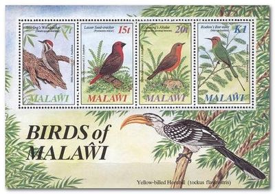 Malawi 1985 Birth Bicentenary of John J. Audubon ms.jpg