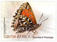 South Africa 2013 Butterflies & Moths g.jpg