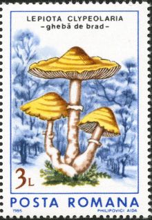 Romania 1986 Fungi 300.jpg