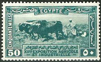 Egypt 1926 12th Agricultural and Industrial Exhibition 50.jpg