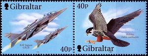 Gibraltar 2001 Birds & Planes a.jpg