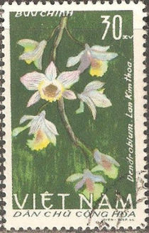 Vietnam (North) 1966 Orchids 30xu.jpg