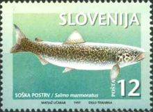 Slovenia 1997 Fish a.jpg