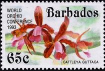 Barbados 1993 Orchid Conference (Overprinted) b.jpg