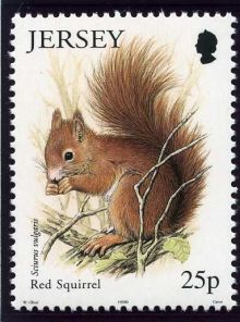 Jersey 1999 Small Mammals.25p.jpg