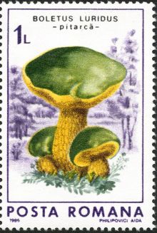 Romania 1986 Fungi 100.jpg