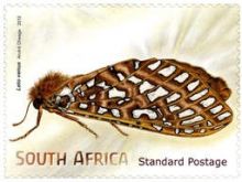 South Africa 2013 Butterflies & Moths i.jpg