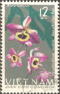 Vietnam (North) 1966 Orchids 12xuD.jpg