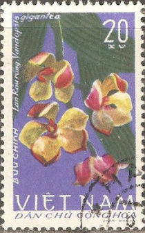 Vietnam (North) 1966 Orchids 20xu.jpg