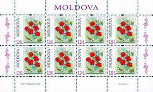 Moldova 2010 Paintings - Flowers sh b.jpg