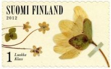 Finland 2012 Spring Flowers a.jpg
