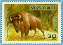 Vietnam 1981 Wildlife 30xA.jpg