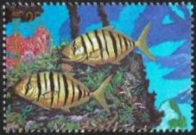 Micronesia 1988 Truk Lagoon - Living Memorial d.jpg