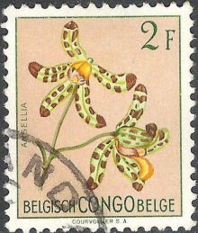 Belgian Congo 1952 -1953 Definitive Issues - Flowers 2F.jpg