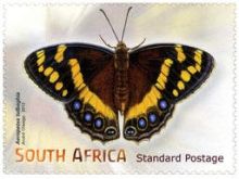 South Africa 2013 Butterflies & Moths h.jpg
