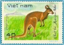 Vietnam 1981 Wildlife 40xB.jpg