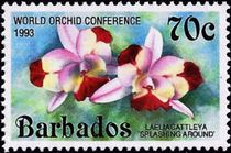 Barbados 1993 Orchid Conference (Overprinted) c.jpg