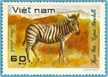 Vietnam 1981 Wildlife 60x.jpg