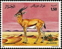 Algeria 1992 Gazelles d.jpg