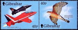 Gibraltar 2001 Birds & Planes b.jpg