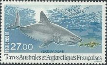 French Southern and Antarctic Territories (TAAF) 1998 Porbeagle Shark a.jpg