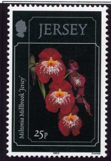 Jersey 1999 Jersey Orchids.25p.jpg