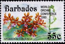 Barbados 1993 Orchid Conference (Overprinted) a.jpg