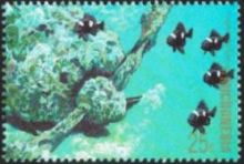 Micronesia 1988 Truk Lagoon - Living Memorial l.jpg