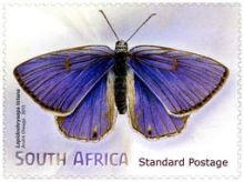 South Africa 2013 Butterflies & Moths d.jpg