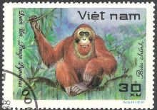 Vietnam 1981 Wildlife 30xB.jpg
