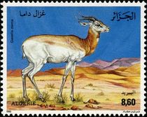 Algeria 1992 Gazelles f.jpg