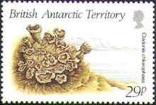 British Antarctic Territory 1989 Lichens c.jpg