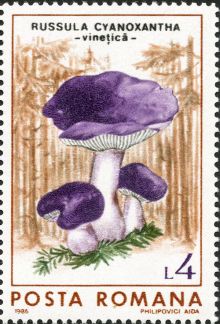 Romania 1986 Fungi 400.jpg