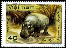 Vietnam 1981 Wildlife 40xA.jpg