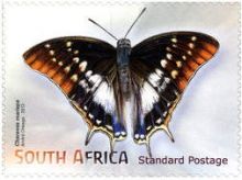 South Africa 2013 Butterflies & Moths 1a.jpg