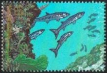 Micronesia 1988 Truk Lagoon - Living Memorial j.jpg