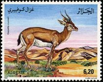 Algeria 1992 Gazelles e.jpg
