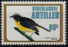 Netherlands Antilles 1980 Birds c.jpg