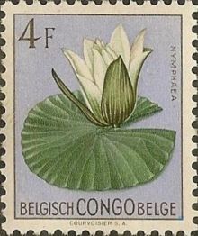 Belgian Congo 1952 -1953 Definitive Issues - Flowers 4F.jpg
