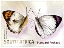 South Africa 2013 Butterflies & Moths b.jpg
