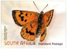 South Africa 2013 Butterflies & Moths c.jpg