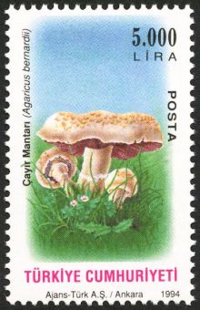 Turkey 1994 Fungi 5000.jpg