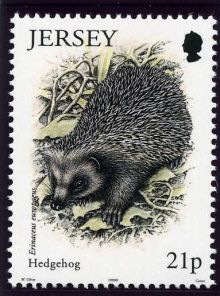 Jersey 1999 Small Mammals.21p.jpg