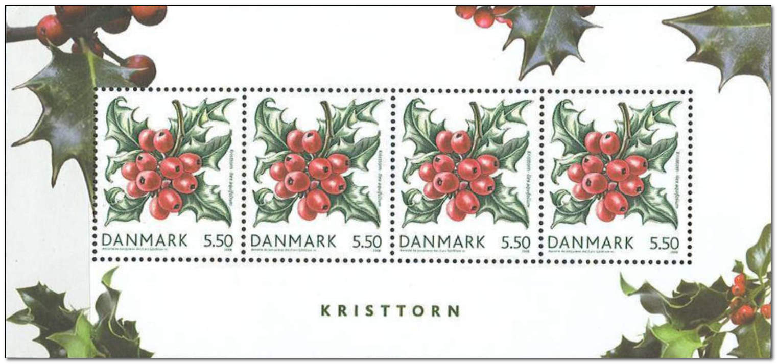 Denmark 2008 - Winter Flora slt.jpg